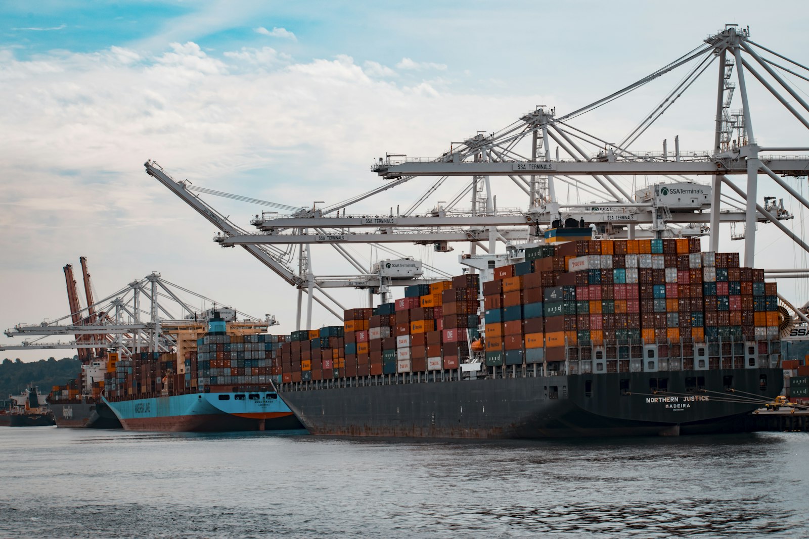Container ships and gantry cranes at a commercial port